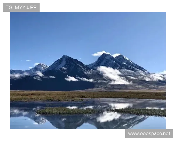 《延安颂》:史诗传奇,初心不忘,照亮信仰之光 《延安颂》:史诗传奇,初心不忘,照亮信仰之光